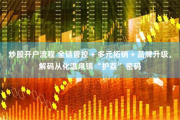 炒股开户流程 全链管控 + 多元拓销 + 品牌升级，解码从化温泉镇 “护荔” 密码