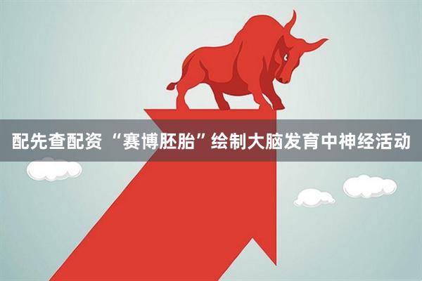 配先查配资 “赛博胚胎”绘制大脑发育中神经活动
